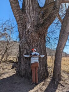 Beth desperately hugs a large, indifferent cottonwood tree with dry, yellow, spring prairie grass in the background.